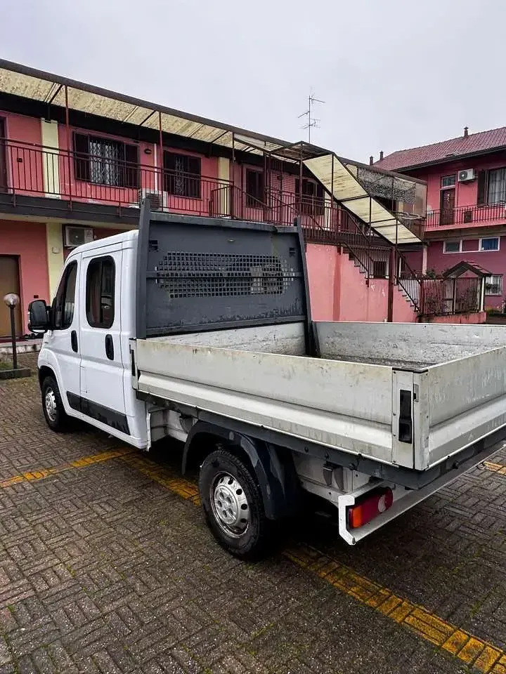 Usata Fiat Ducato 116 CV (85 kW) 2018 Other Furgone