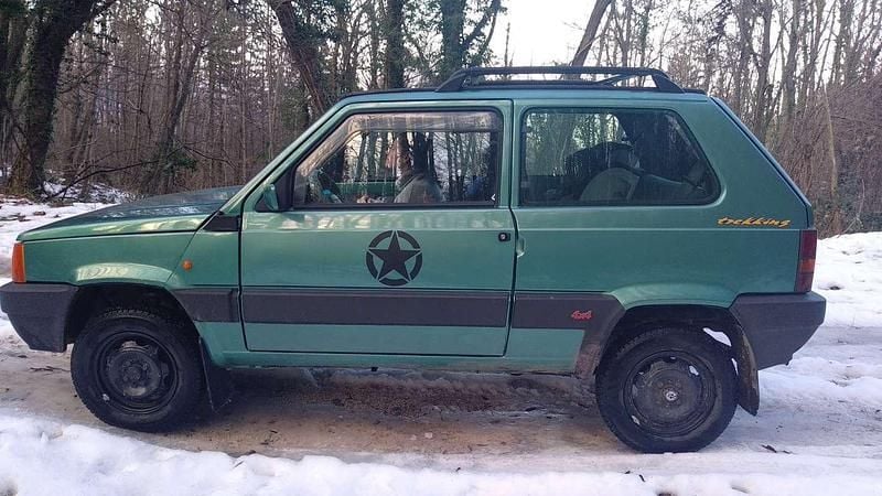 Usata Fiat Panda 4x4 Trekking 54 CV (39 kW) 1999 Verde Utilitaria