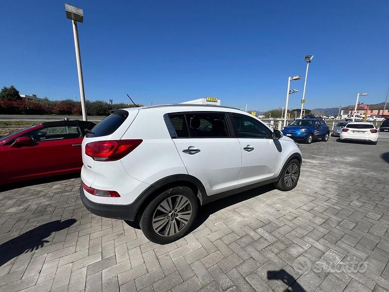 Usata Kia Sportage 116 CV (85 kW) 2015 Bianco SUV