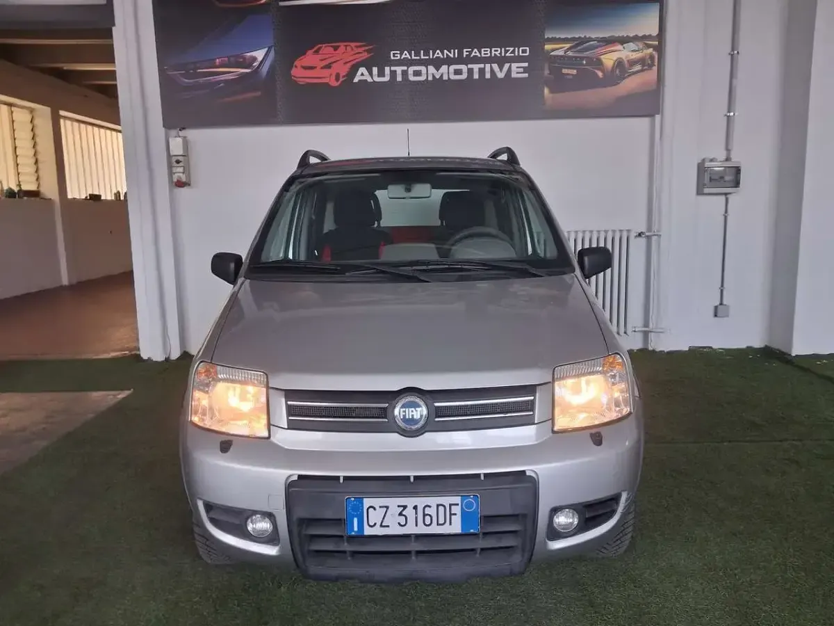 Usata Fiat Panda 4x4 Cross 69 CV (50 kW) 2006 Other Utilitaria