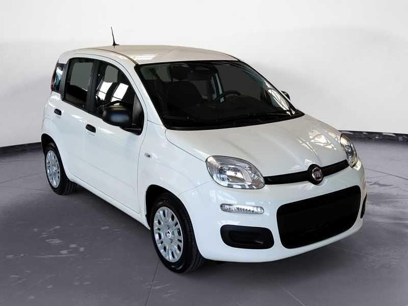 Nuova Fiat Panda 69 CV (50 kW) 2025 Bianco Utilitaria