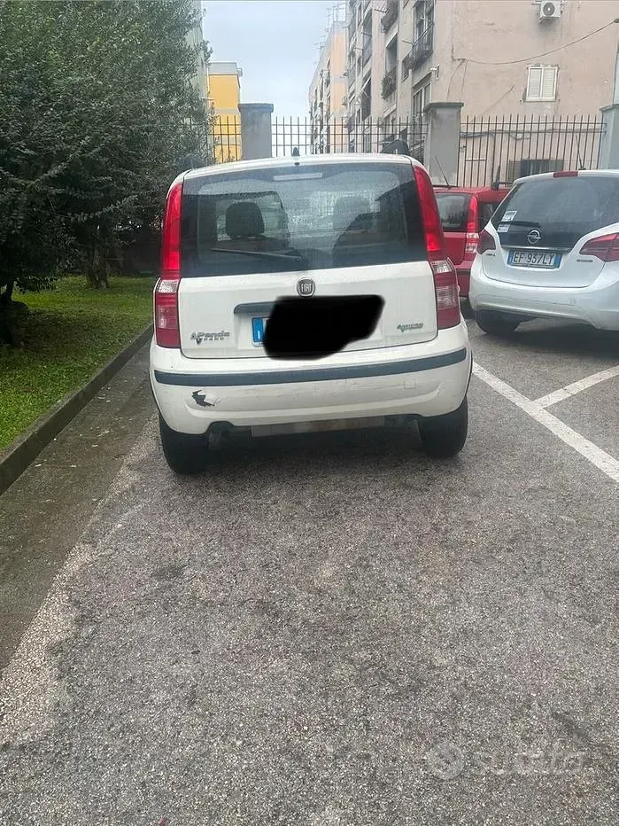 Usata Fiat Panda 60 CV (44 kW) 2006 Bianco Utilitaria