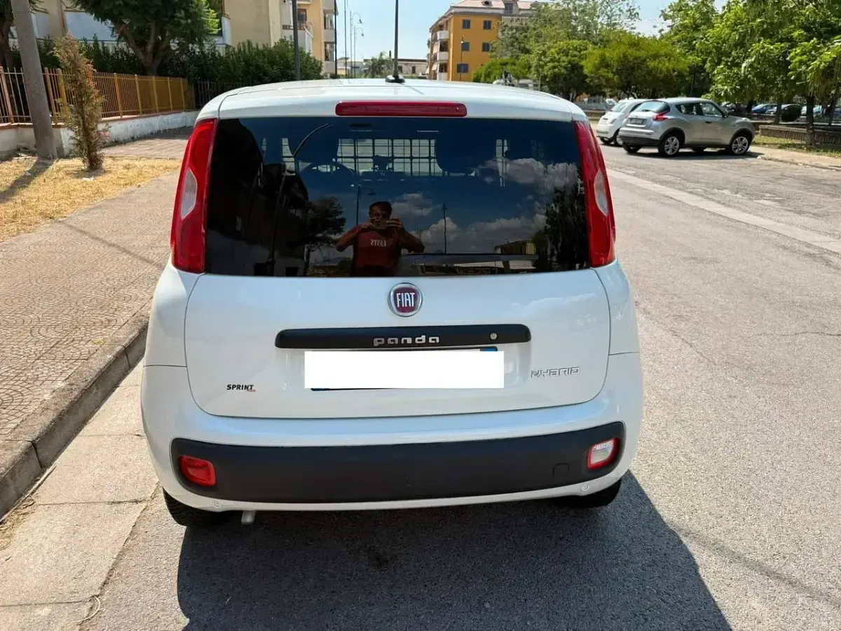 Usata Fiat Panda Pop 70 CV (51 kW) 2021 Bianco Utilitaria