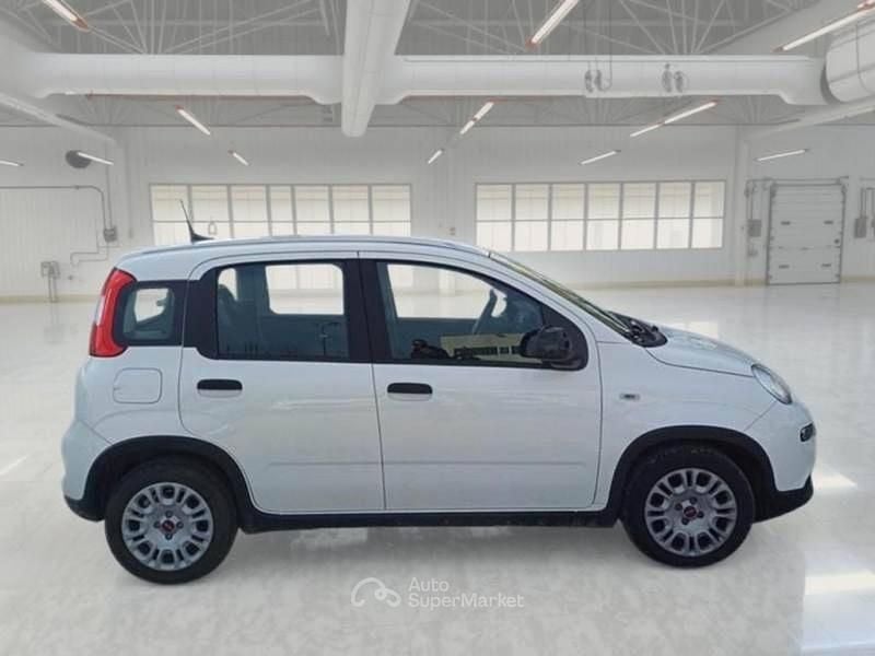 Usata Fiat Panda S 69 CV (50 kW) 2024 Utilitaria