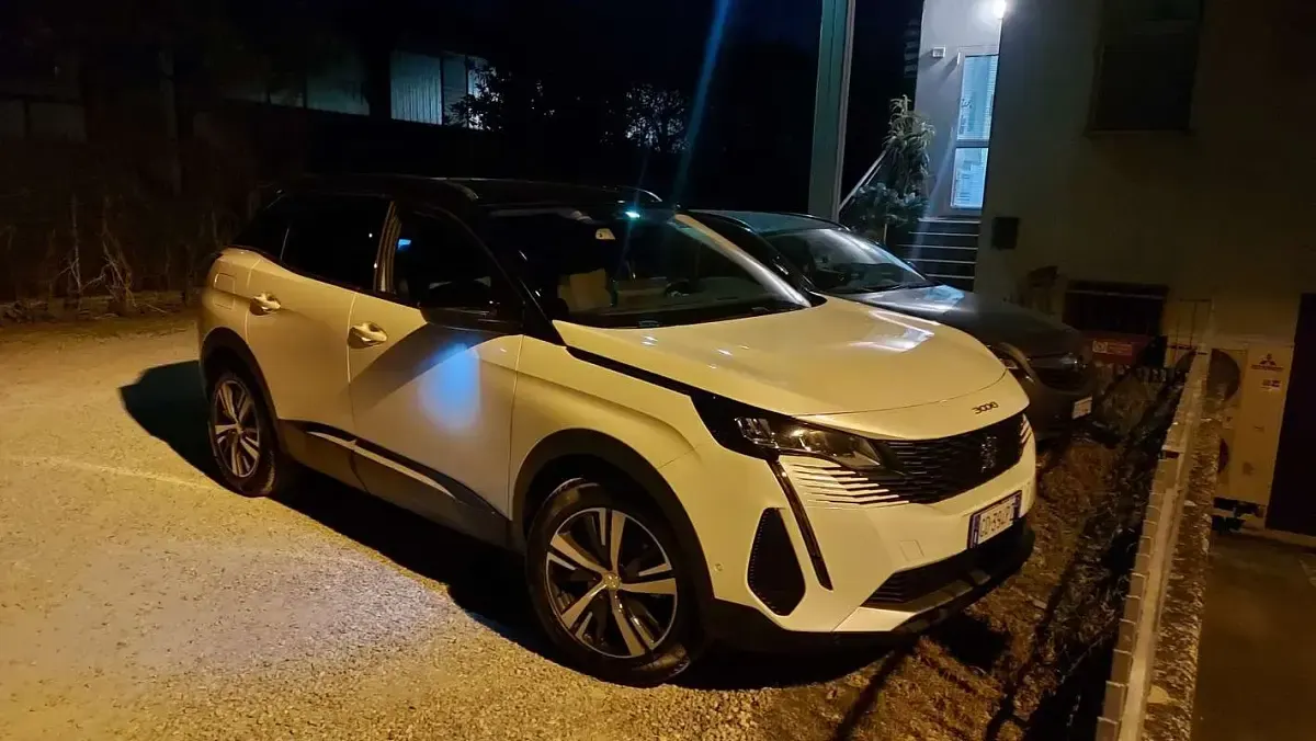 Usata Peugeot 3008 Business-Line 131 CV (96 kW) 2021 Bianco SUV