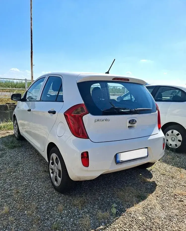 Usata Kia Picanto 85 CV (62 kW) 2012 Bianco Utilitaria