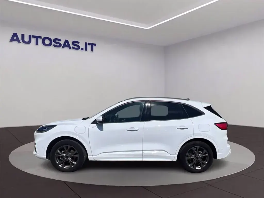 Usata Ford Kuga ST-Line X 225 CV (165 kW) 2023 Bianco SUV