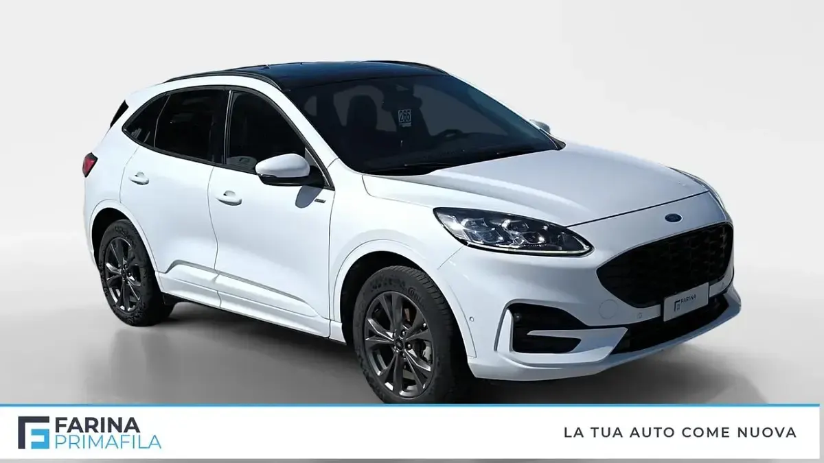 Usata Ford Kuga ST-Line X 152 CV (111 kW) 2023 Bianco SUV