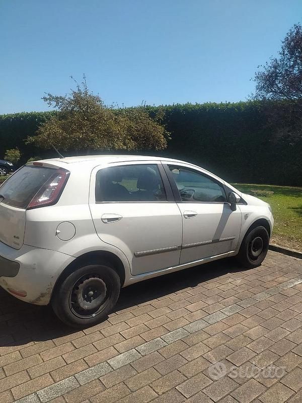 Usata Fiat Punto Evo 2010 Utilitaria