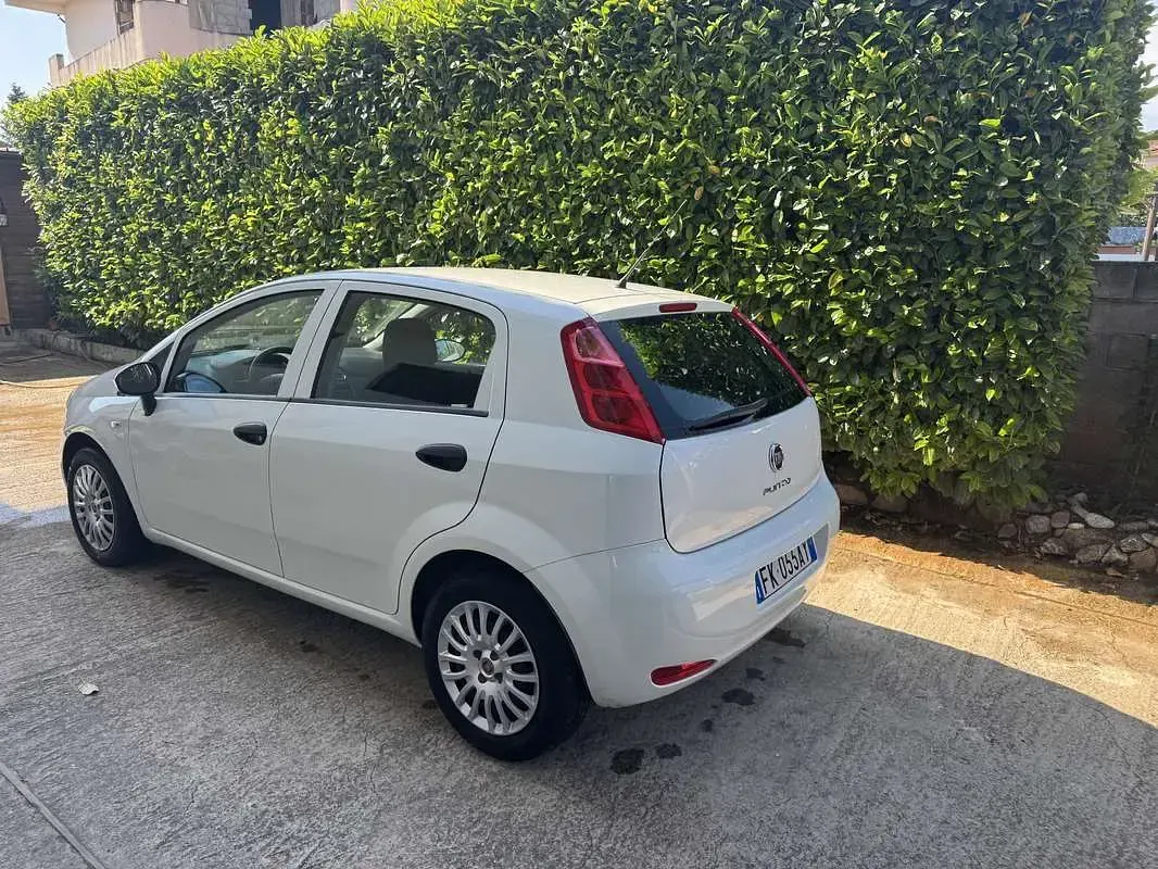 Usata Fiat Punto Evo Emotion 95 CV (69 kW) 2017 Utilitaria