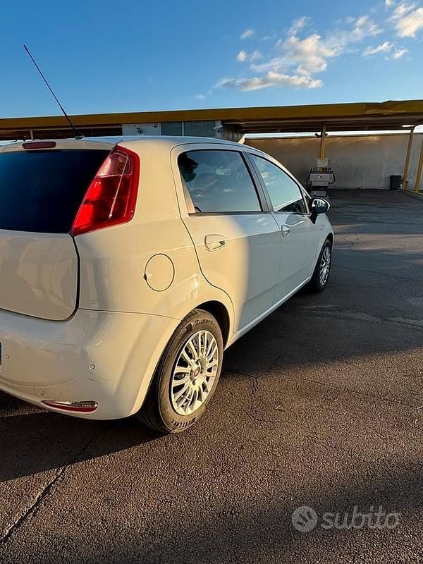 Usata Fiat Punto 85 CV (62 kW) 2015 Bianco Berlina
