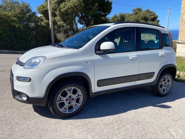 Usata Fiat Panda 4x4 S 75 CV (55 kW) 2013 Bianco Utilitaria