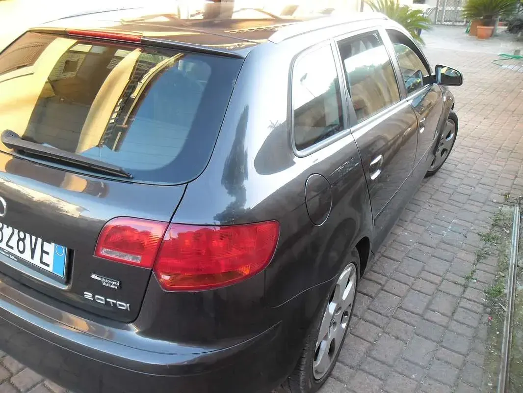 Usata Audi A3 Sportback Ambition 170 CV (125 kW) 2007 Bronzo Utilitaria