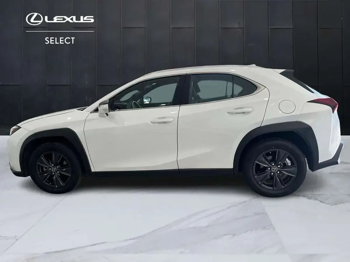 Usata Lexus UX 250h Luxury Line 184 CV (135 kW) 2023 Bianco SUV