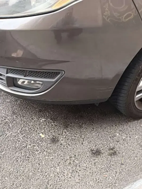 Usata Fiat Croma 147 CV (108 kW) 2011 Station wagon