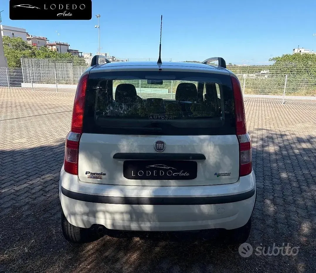 Usata Fiat Panda Dynamic 60 CV (44 kW) 2010 Bianco Utilitaria