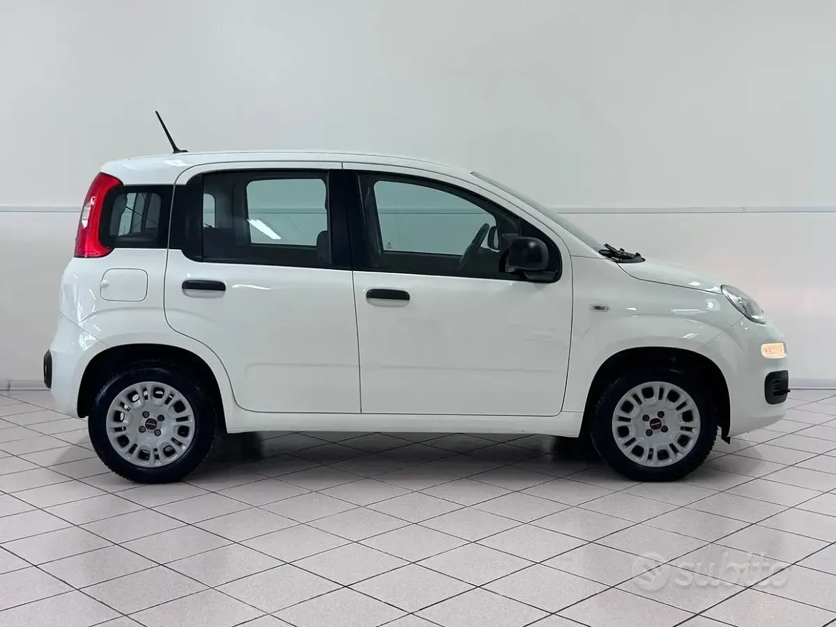 Usata Fiat Panda Easy 69 CV (50 kW) 2020 Bianco Utilitaria