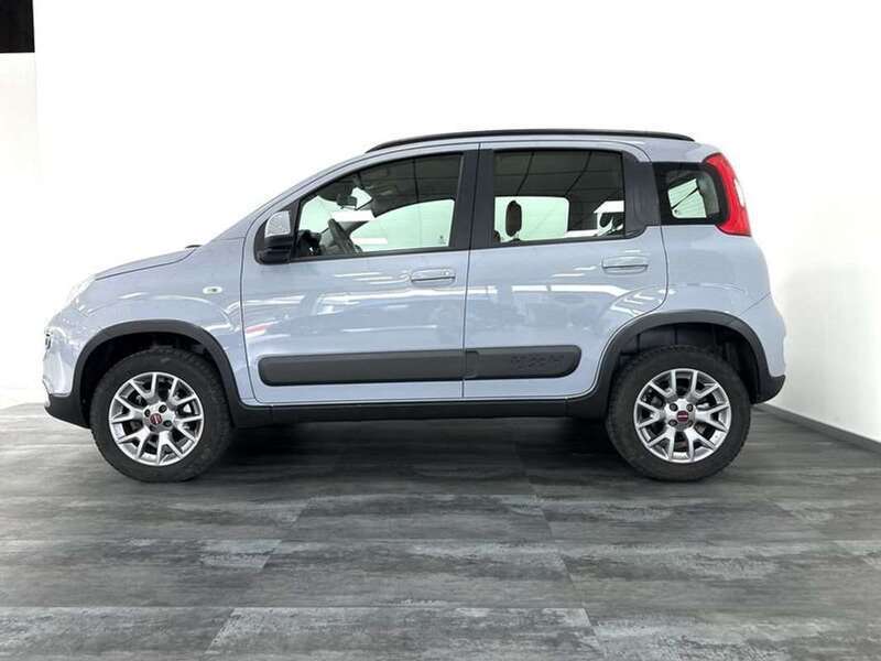Usato 2019 Fiat Panda 4x4 0.9 Benzin 86 CV (15.600 €)