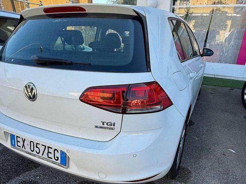 Usata VW Golf VII Highline 110 CV (80 kW) 2014 Bianco Berlina
