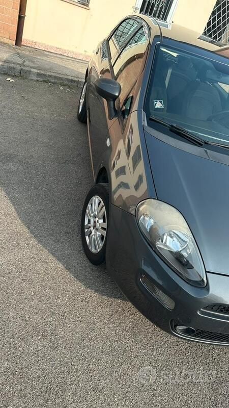Usata Fiat Punto 77 CV (56 kW) 2016 Grigio Utilitaria