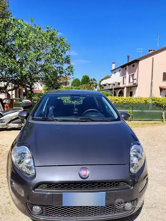 Usata Fiat Punto 95 CV (69 kW) 2016 Grigio Utilitaria