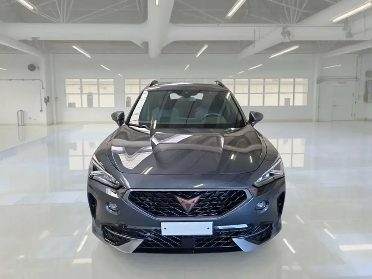Usata Cupra Formentor 150 CV (110 kW) 2022 Grigio SUV