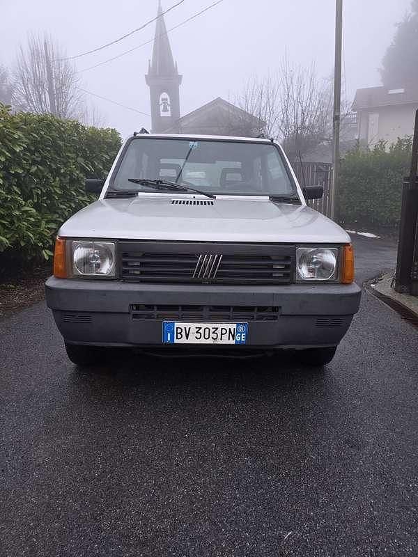 Usata Fiat Panda 4x4 Trekking 54 CV (39 kW) 2001 Grigio Utilitaria