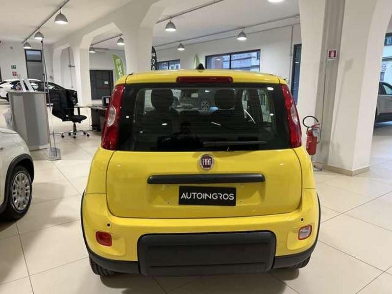 Usata Fiat Panda S 69 CV (50 kW) 2024 Giallo Utilitaria