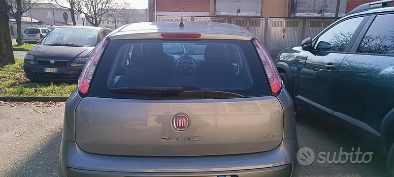 Usata Fiat Punto Evo Dynamic 65 CV (47 kW) 2009 Grigio Utilitaria