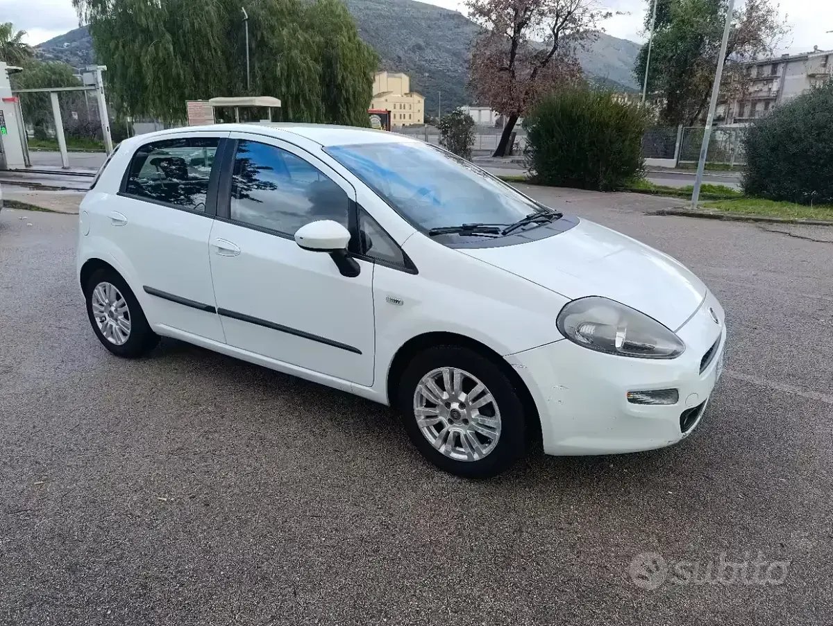 Usata Fiat Punto 75 CV (55 kW) 2014 Bianco Utilitaria