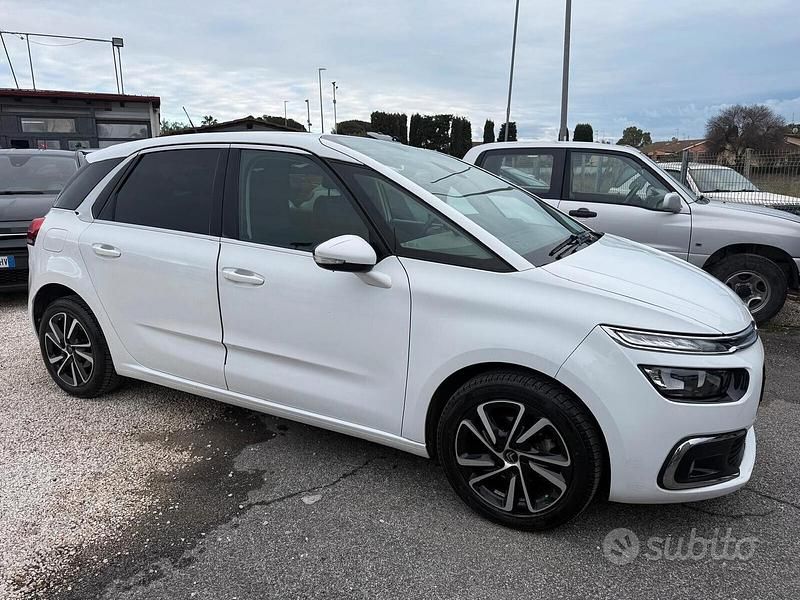 Usata Citroën C4 Picasso Shine 120 CV (88 kW) 2017 Bianco Monovolume