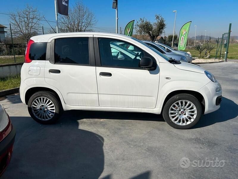 Usata Fiat Panda Easy 85 CV (62 kW) 2012 Bianco Utilitaria