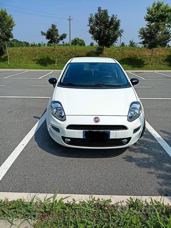 Usata Fiat Punto Lounge 95 CV (69 kW) 2017 Bianco Utilitaria