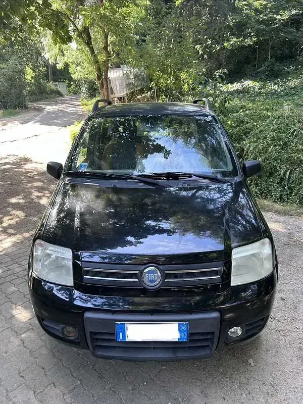 Usata Fiat Panda 4x4 Climbing 69 CV (50 kW) 2006 Utilitaria