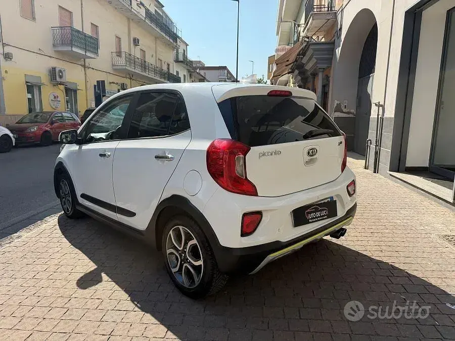 Usata Kia Picanto X-Line 67 CV (49 kW) 2020 Bianco Utilitaria