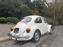 VW Maggiolino