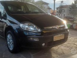 Fiat Punto Evo