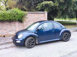 VW Beetle