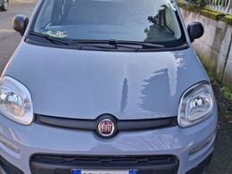 Fiat Panda Cross