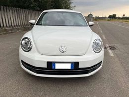 VW Beetle