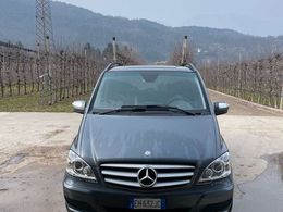 Mercedes Viano