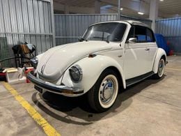 VW Maggiolino