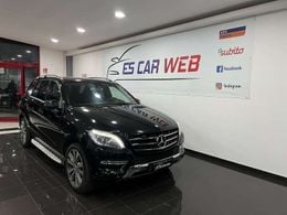 Mercedes ML250