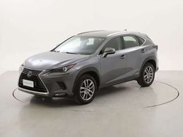 Lexus NX300h