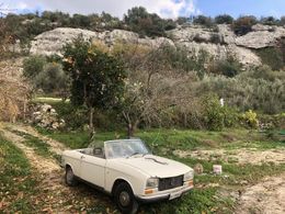 Peugeot 304