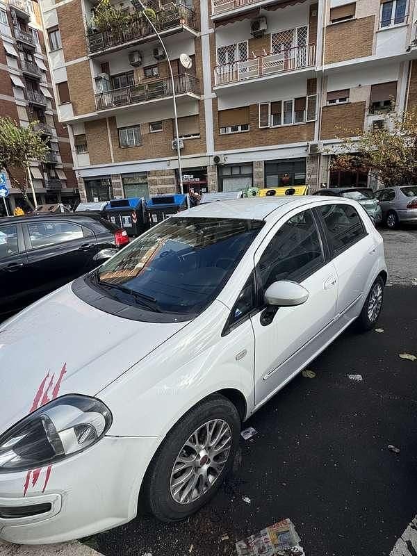 Usata Fiat Punto Evo Dynamic 77 CV (56 kW) 2009 Bianco Utilitaria