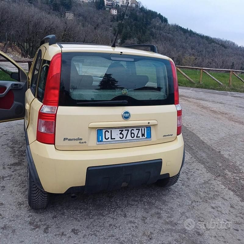 Usata Fiat Panda 4x4 60 CV (44 kW) 2005 Giallo Utilitaria