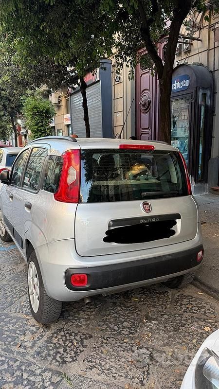 Usata Fiat Panda 70 CV (51 kW) 2015 Grigio Utilitaria