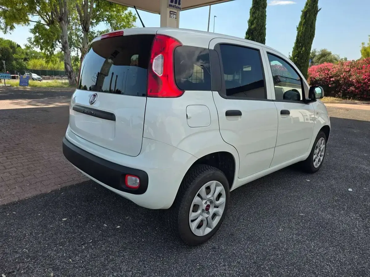 Usata Fiat Panda 80 CV (58 kW) 2019 Bianco Utilitaria
