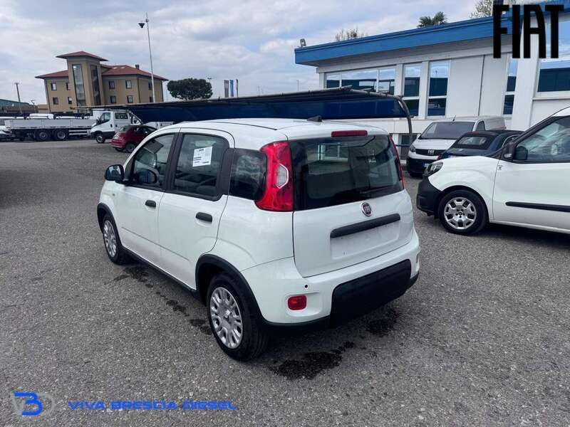 Usata Fiat Panda S 69 CV (50 kW) 2024 Bianco gelato Utilitaria